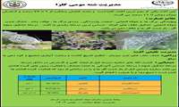 اطلاعیه فنی شته مومی کلزا